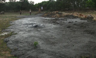 Công ty CP thức ăn chăn nuôi Thái Dương xả thải không qua xử lý ra môi trường.