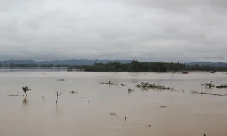 Chùm ảnh huyện nghèo Nghệ An ngập trong lũ