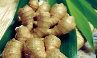 Đầu hè ăn gừng, giảm mệt lợi tiêu hóa