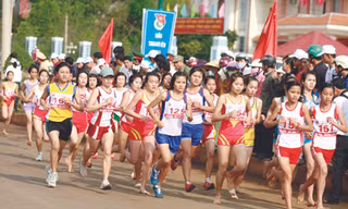 Cải tiến cả lượng và chất