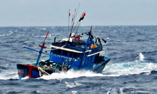 Tàu cá ngư dân chìm trên biển, 4 ngư dân được cứu sống an toàn. Ảnh minh họa