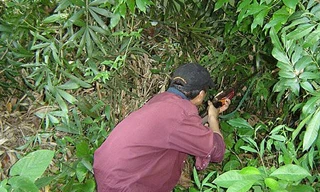 Tưởng thú rừng, thợ săn bắn nhầm người cùng làng.