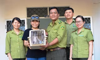 Người dân tự nguyện giao nộp cá thể động vật hoang dã quý hiểm cho Kiểm lâm tỉnh Bình Định.