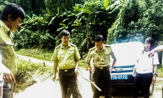 Cá thể khỉ mốc về rừng tự nhiên.