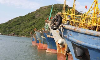 Bình Định hiện có 38 tàu cá đóng mới theo Nghị định 67/2014/NĐ-CP hết hạn bảo hiểm phải nằm bờ.