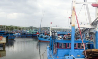 Bình Định được xem là tỉnh có số lượng tàu đánh bắt xa bờ lên đến hàng nghìn chiếc.