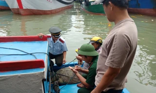 Ngành chức năng tiến hành thả con vích về biển.