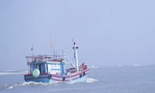Đã liên lạc được với tàu cá Bình Định mất tích nhiều ngày trên biển. Ảnh minh họa