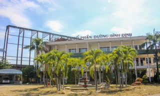 Công ty CP đường Bình Định nợ hơn 1.000 tỷ đồng. Ảnh Trương Định