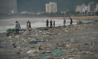 Thành Phố Quy Nhơn ngổn ngang sau bão.