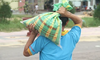 Người dân Quy Nhơn đổ xô xúc cát chèn chống nhà cửa.