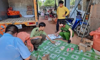 Lực lượng chức năng tiến hành kiểm tra.