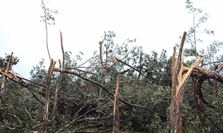 Ba phút phá 30 năm