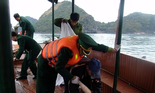 Khởi tố vụ chìm tàu khiến 12 người thiệt mạng