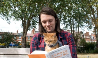 Bob - chú mèo đường phố nổi tiếng từng lên sách và phim đã qua đời 