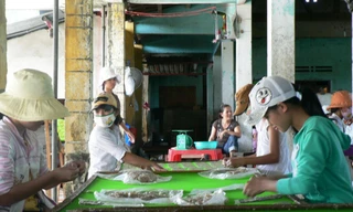 Lao động nhí tại cơ sở chế biến cá bò trong HTX Điện Phước II