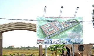 'Dân BĐS đi trồng rau, rửa xe