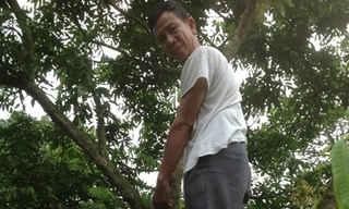 Có không sự bao che cho tội phạm lộng hành miền quê?