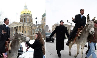 Tặng lừa để chúc Obama trúng cử