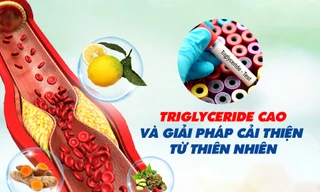 Triglyceride cao và giải pháp cải thiện từ thiên nhiên 