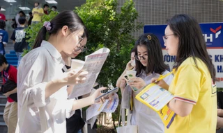 Thiết kế đồ họa: Học đại học trong nước hay chọn bằng cấp quốc tế?