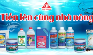 'Thành công là một cuộc hành trình…'