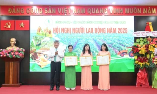 Tập đoàn Công nghiệp Cao su Việt Nam đẩy mạnh phát triển toàn diện