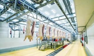 Có phải thịt ở ngăn mát gọi là thịt mát?