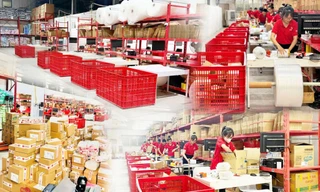 Top 3 Nhà bán hàng Tăng trưởng đột phá trên Lazada Mall gọi tên Bibo Mart