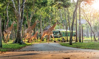 ‘Xe cao cấp, Nghỉ đẳng cấp’ - đặc quyền dành cho người tiên phong mua VinFast VF 8 và VF 9