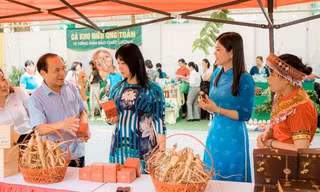 Hỗ trợ phát triển sinh kế hòa nhập cộng đồng cho nạn nhân mua bán người tại Thái Nguyên