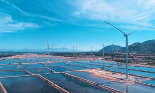 Quốc tế đưa tin về tổ hợp kinh tế muối và năng lượng tái tạo lớn nhất Việt Nam 