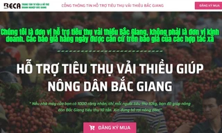 Bắc Giang kêu gọi cộng đồng hỗ trợ tiêu thụ vải thiều thông qua cổng thông tin