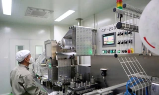 Thúc đẩy các động lực tăng trưởng mới