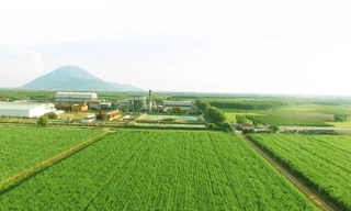 TTC AgriS – Chinh phục chuỗi giá trị nông nghiệp hiện đại bền vững toàn cầu 