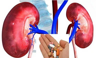 Thuốc giảm đau paracetamol và giảm đau đông y: Nên sử dụng như thế nào thì tốt?