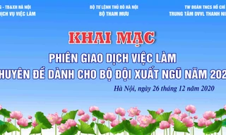 Phiên giao dịch việc làm dành cho bộ đội xuất ngũ năm 2020