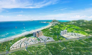Nhà đầu tư săn tìm dự án ven biển Quy Nhơn có 8 tầm nhìn đắt giá