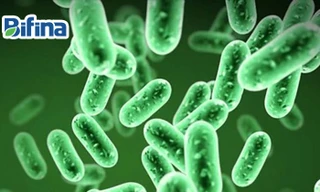 Táo bón dùng men tiêu hóa gì để bụng nhẹ nhõm?