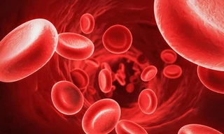 Máy tạo ion âm ionion Uchiko phát huy hiệu quả khả năng phòng ngừa bệnh về đường hô hấp 