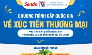 Sendo hỗ trợ tiêu thụ nông sản Hải Dương