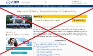 Tổng công ty điện lực miền Bắc cảnh báo tình trạng giả mạo trang web để lừa đảo