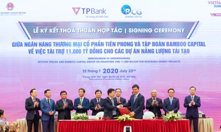 TPBank mạnh tay rót 11.000 tỷ đồng vào các dự án năng lượng tái tạo
