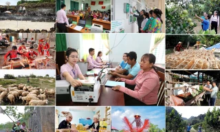 Xây dựng Đảng bộ Ngân hàng Chính sách xã hội Trung ương vững mạnh toàn diện, đồng hành cùng đất nước