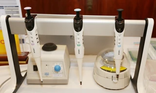 Kit test COVID-19 nào đang được tin dùng hiện nay? 