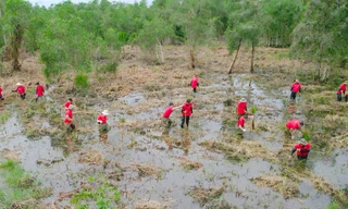Hướng tới Net Zero, J&T Express chung sức kiến tạo tương lai cùng chương trình “trồng 1 tỷ cây xanh” của Chính phủ