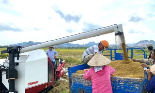 YH850 - máy gặt lúa công nghệ cao phù hợp cho mọi cánh đồng Việt Nam