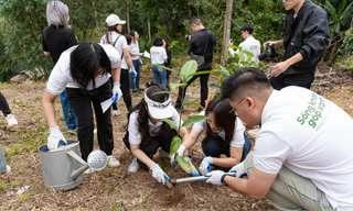 Hành trình 3 năm, 1 triệu cây: Panasonic và những dấu ấn xanh cho tương lai