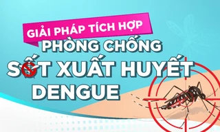 Sốt xuất huyết: Đừng để 'chuyện muỗi' làm lớn!