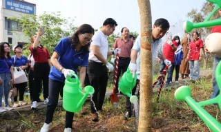 Vietravel trồng 1000 cây hoa ban tri ân mảnh đất Điện Biên